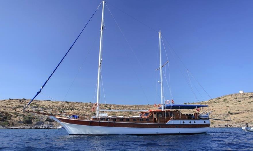VIP27035